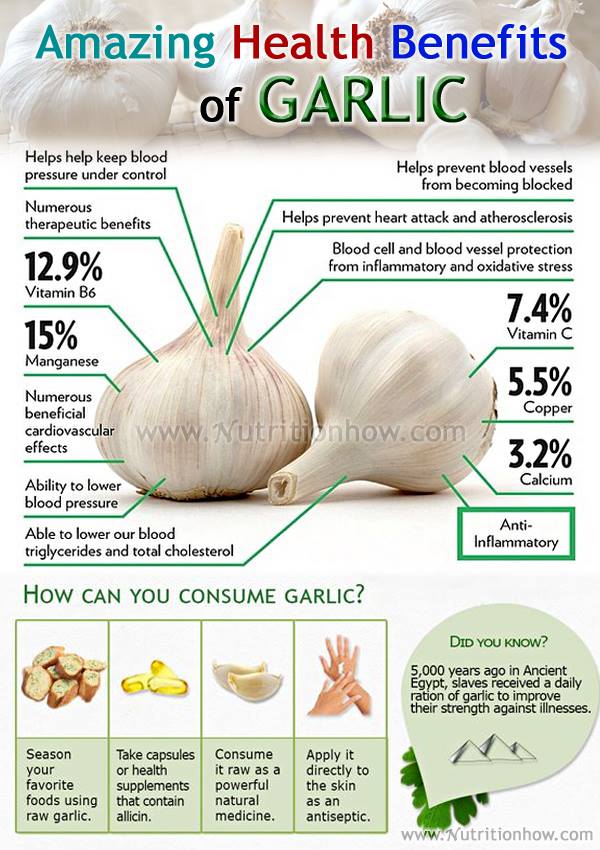 Benefits and Uses of Garlic