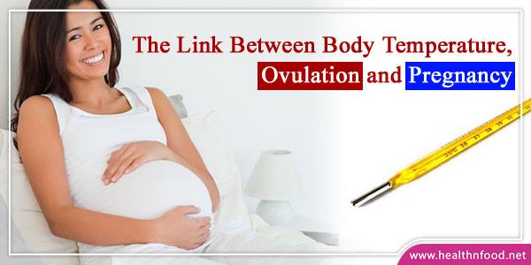Guide of Pregnancy, Ovulation and Body Temperature