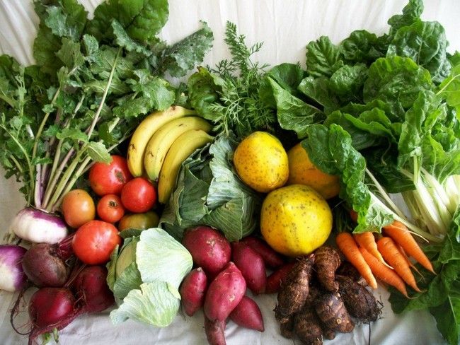 Fruits and Veggies for Cancer Treatment