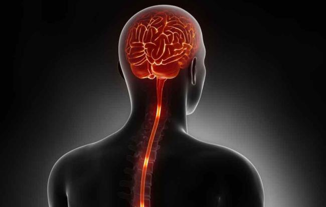 Amyotrophic Lateral Sclerosis Causes and Treatment