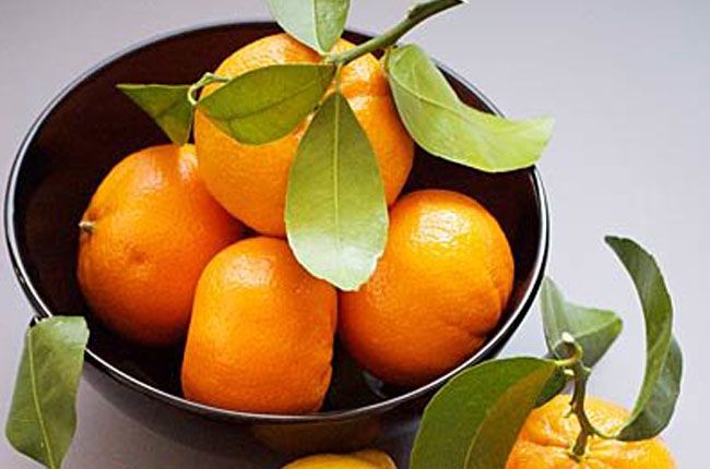 Benefits of Oranges for Weight Loss